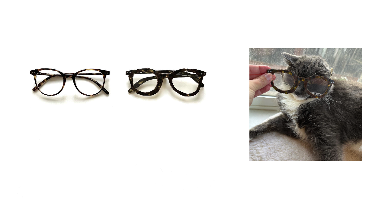 glasses