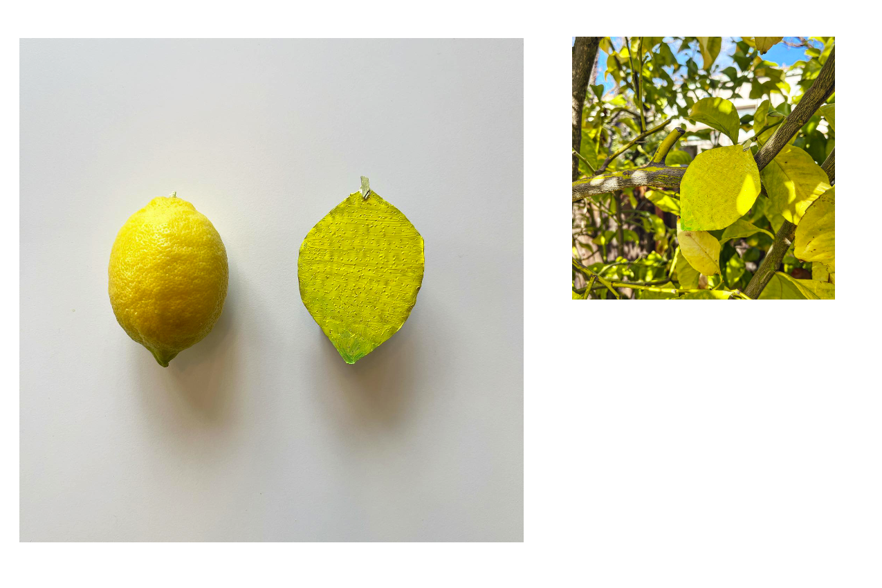 lemon